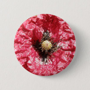 Badge Rond 5 Cm Bouton de macro de la jolie fleur rouge