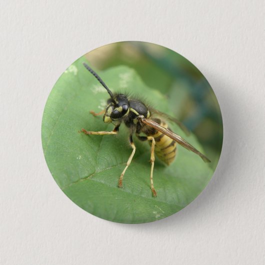 Badge Rond 5 Cm Bouton de macro Hoverfly (Devant)