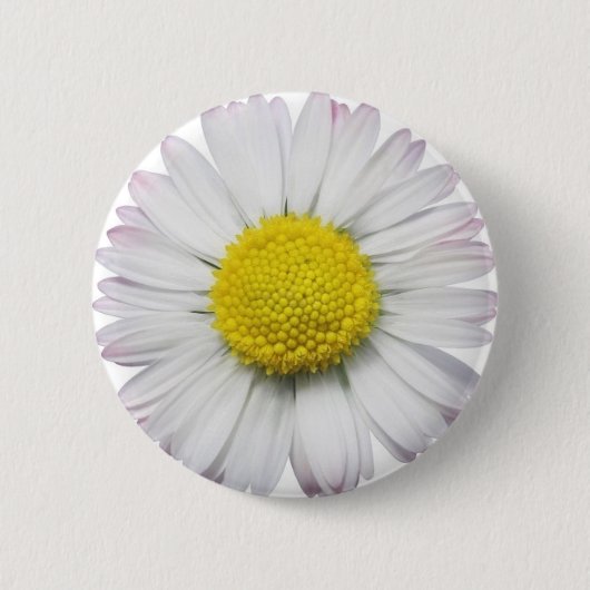 Badge Rond 5 Cm Bouton de marguerite (Devant)