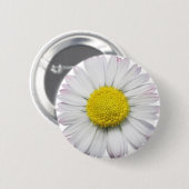 Badge Rond 5 Cm Bouton de marguerite (Devant & derrière)