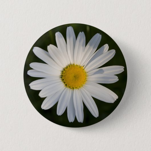 Badge Rond 5 Cm Bouton de marguerite (Devant)