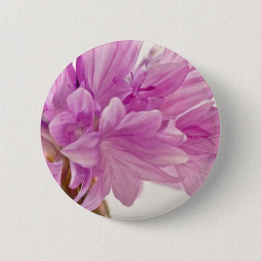 Badge Rond 5 Cm Bouton de mise à jour (Devant)