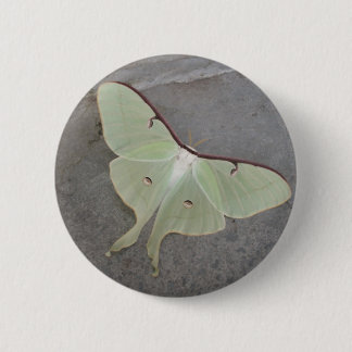Badge Rond 5 Cm Bouton de mite de Luna