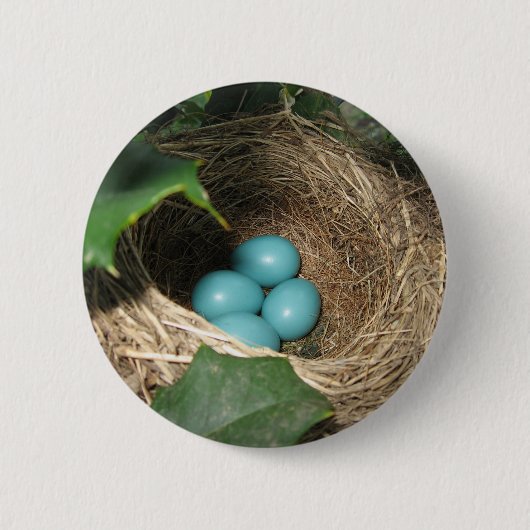 Badge Rond 5 Cm Bouton de nid de Robin (Devant)