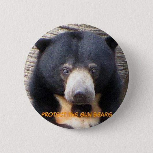 Badge Rond 5 Cm Bouton de Pagi d'ours de Sun (Devant)