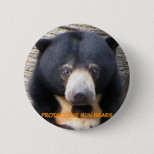 Badge Rond 5 Cm Bouton de Pagi d'ours de Sun