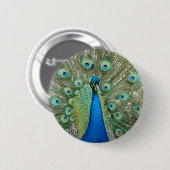 Badge Rond 5 Cm Bouton de paon (Devant & derrière)
