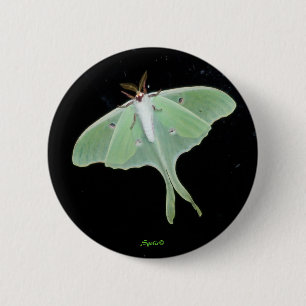Badge Rond 5 Cm Bouton de papillon lunaire insecte