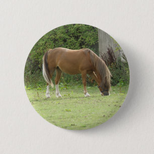 Badge Rond 5 Cm Bouton de pâturage de Cheval Brown de châtaignes