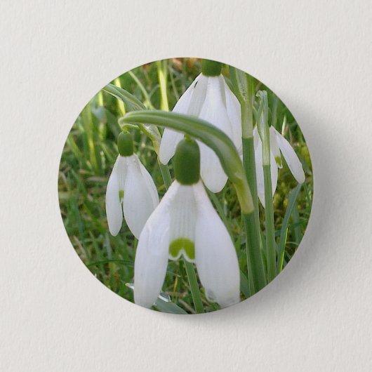 Badge Rond 5 Cm Bouton de perce-neiges (Devant)
