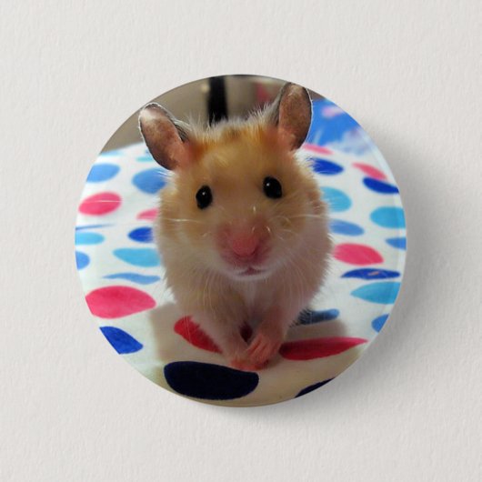 Badge Rond 5 Cm Bouton de Pinback de hamster (Devant)