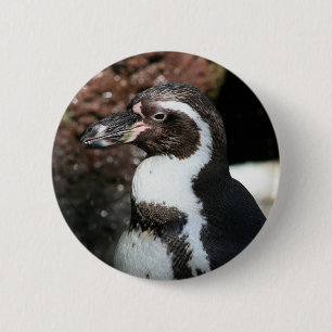 Badge Rond 5 Cm Bouton de pingouin