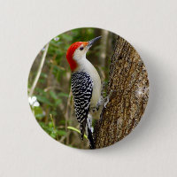 Bouton de pivert gonflé par rouge