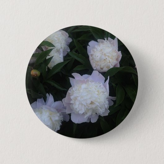 Badge Rond 5 Cm Bouton de pivoine (Devant)