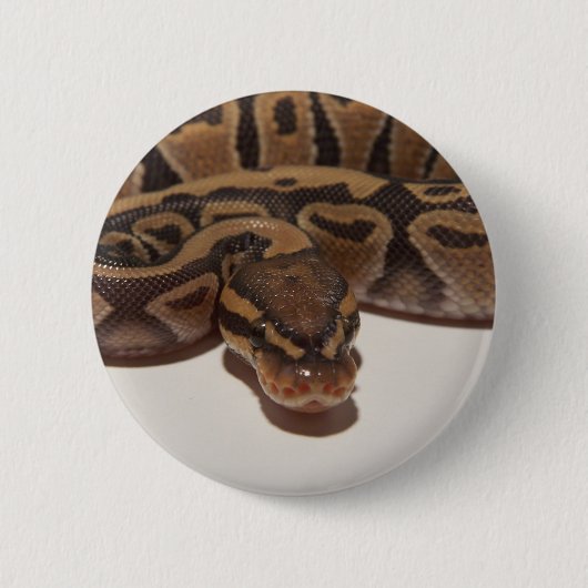 Badge Rond 5 Cm Bouton de python de boule de fantôme (Devant)