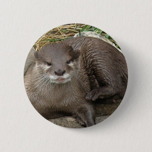 Badge Rond 5 Cm Bouton de repos de loutre