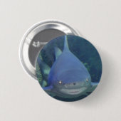 Badge Rond 5 Cm Bouton de requin (Devant & derrière)