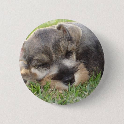 Badge Rond 5 Cm Bouton de Schnauzer de sommeiller (Devant)