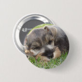Badge Rond 5 Cm Bouton de Schnauzer de sommeiller (Devant & derrière)