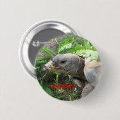 Badge Rond 5 Cm Bouton de tortue (Devant & derrière)