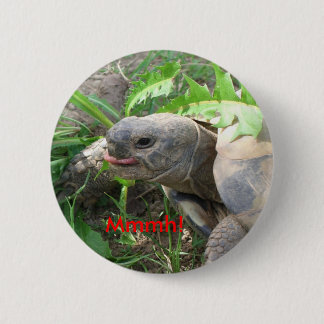 Badge Rond 5 Cm Bouton de tortue