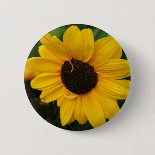 Badge Rond 5 Cm Bouton de tournesol (Devant)