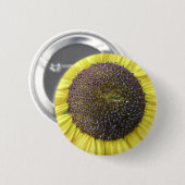 Badge Rond 5 Cm Bouton de tournesol jaune (Devant & derrière)