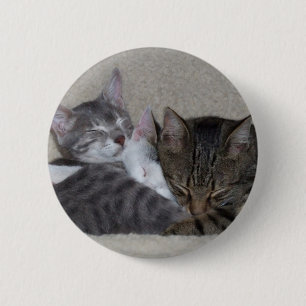 Badge Rond 5 Cm Bouton de trio de chat