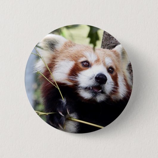Badge Rond 5 Cm Bouton de visage de panda rouge (Devant)