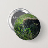 Badge Rond 5 Cm Bouton d'Echidna (Devant & derrière)