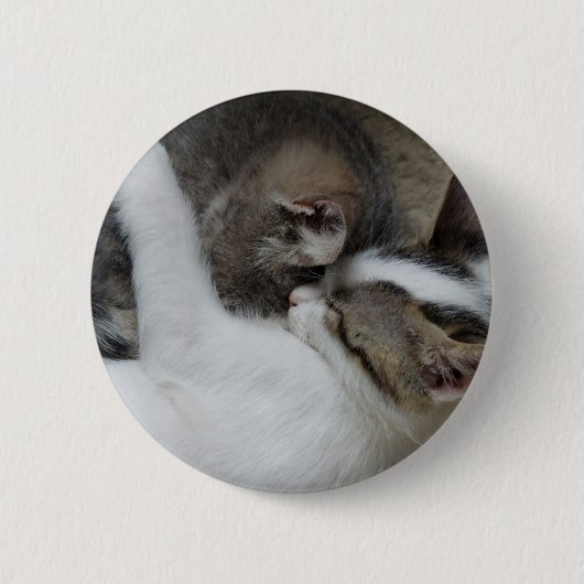 Badge Rond 5 Cm Bouton Déclenches de chat (Devant)
