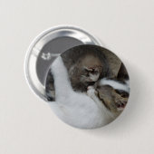 Badge Rond 5 Cm Bouton Déclenches de chat (Devant & derrière)