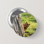 Badge Rond 5 Cm Bouton d'écureuil (Devant & derrière)