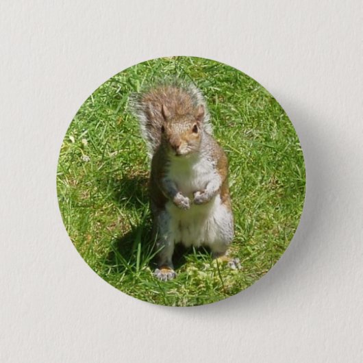 Badge Rond 5 Cm Bouton d'écureuil (Devant)