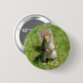 Badge Rond 5 Cm Bouton d'écureuil (Devant & derrière)