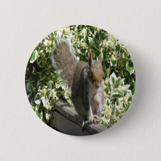 Badge Rond 5 Cm Bouton d'écureuil mignon (Devant)