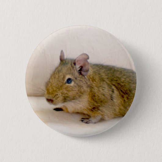 Badge Rond 5 Cm Bouton Degu (Devant)