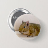 Badge Rond 5 Cm Bouton Degu (Devant & derrière)