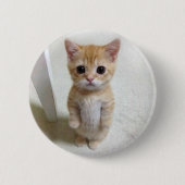 Badge Rond 5 Cm Bouton d'épingle de mème de chat El Gato (Devant)