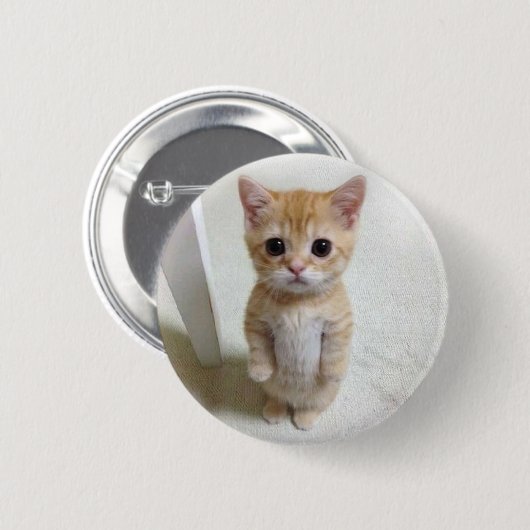 Badge Rond 5 Cm Bouton d'épingle de mème de chat El Gato (Devant & derrière)