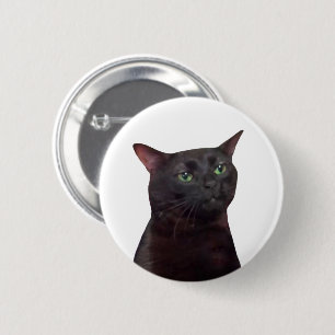 Badge Rond 5 Cm Bouton d'épingle de mème de chat Zoned Out