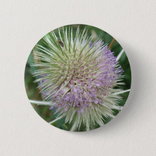 Badge Rond 5 Cm Bouton d'herbe sauvage