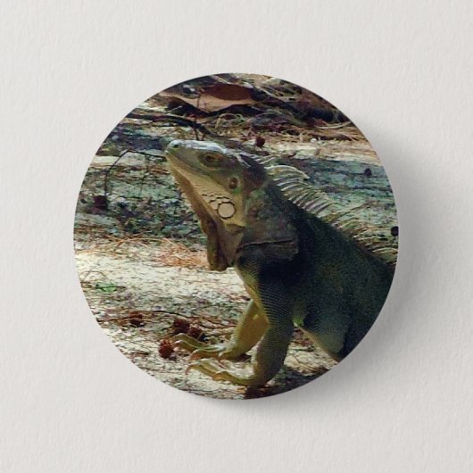 Badge Rond 5 Cm Bouton d'iguane de Bahama (Devant)