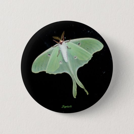 Badge Rond 5 Cm Bouton d'insecte Luna Moth (Devant)