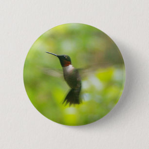 Badge Rond 5 Cm Bouton d'oiseau-colibri de Ruby-Homme
