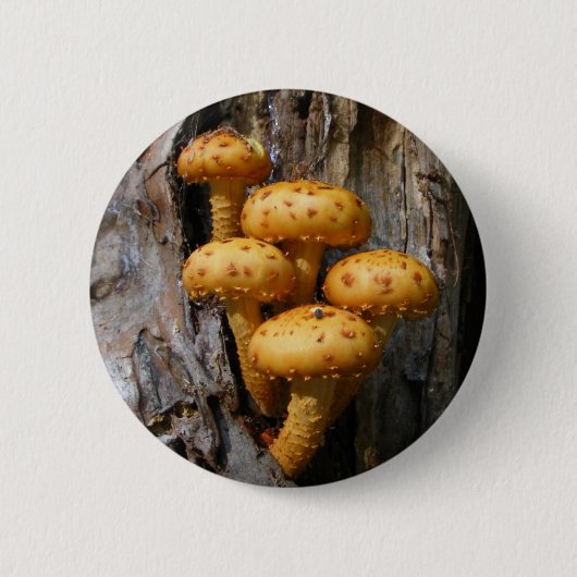 Badge Rond 5 Cm Bouton d'or de ~ de champignon (Devant)