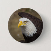 Badge Rond 5 Cm Bouton Eagle Gaze – Stable. Net. Libre. (Devant)