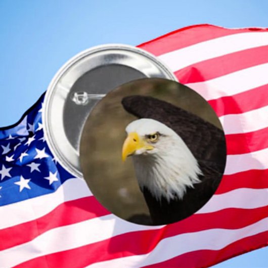 Badge Rond 5 Cm Bouton Eagle Gaze – Stable. Net. Libre.
