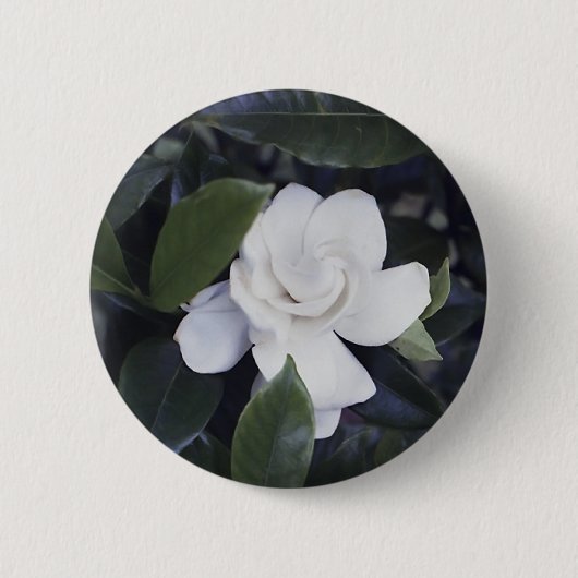 Badge Rond 5 Cm Bouton Enchanter Gardenia (Devant)