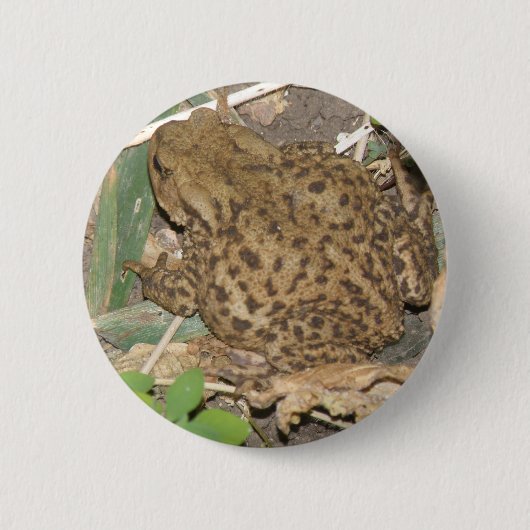 Badge Rond 5 Cm Bouton européen commun de crapaud (Devant)